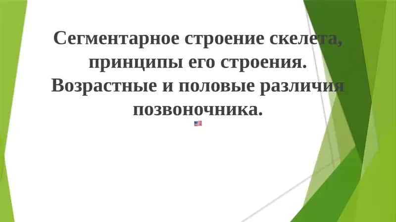 Сегментарное строение скелета и позвоночника