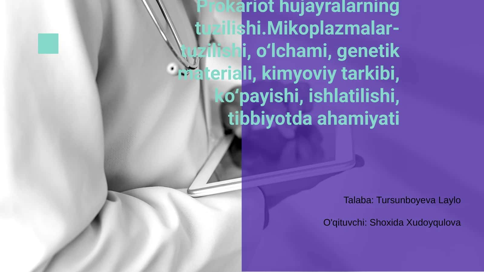 Prokariot hujayralarning tuzilishi