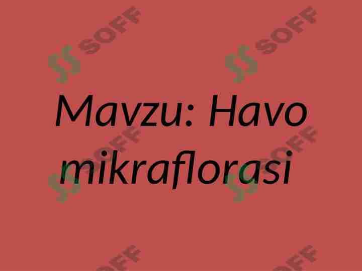 Havo mikraflorasi