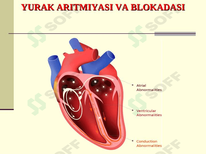 YURАK АRITMIYASI VA BLOKADASI