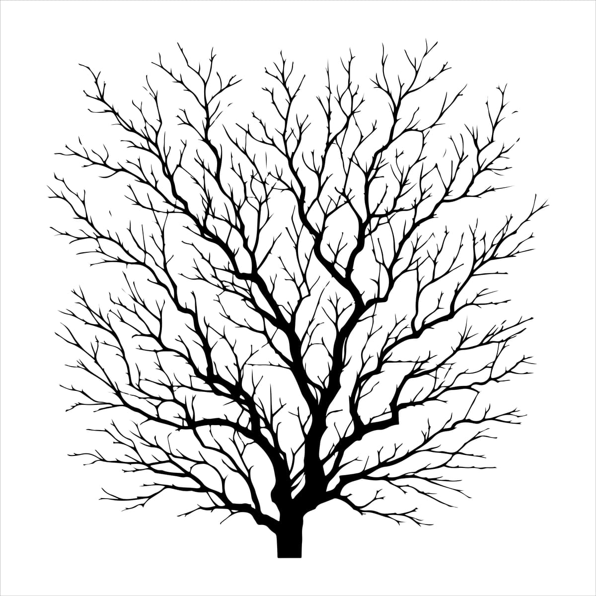 Minimal yalang'och daraxt vektor shoxlari izolyatsiya qilingan o'lik daraxt silueti | Minimal naked tree vector branches silhouette dead tree isolated