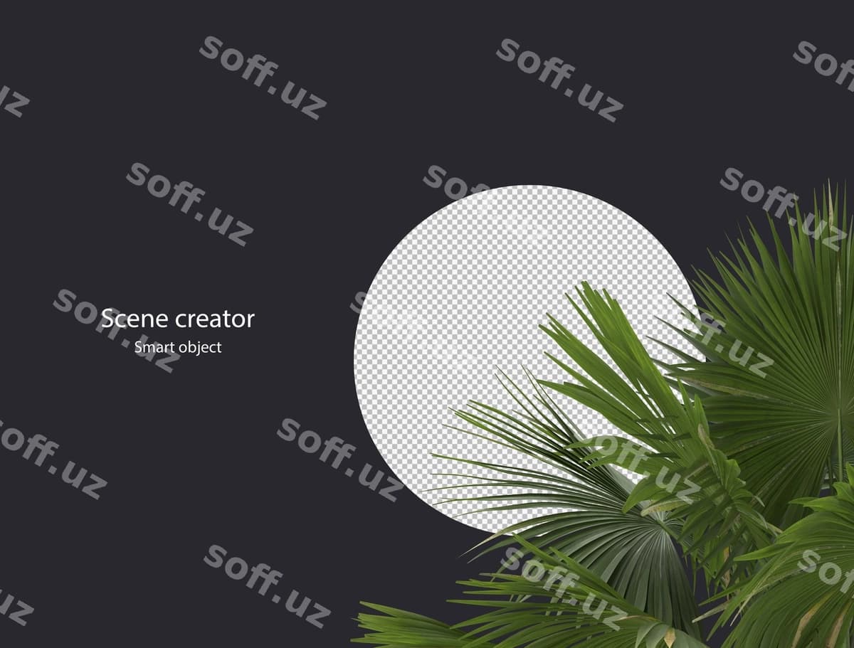 3d daraxt tarmogi ayrilgan | 3d tree branch isolated