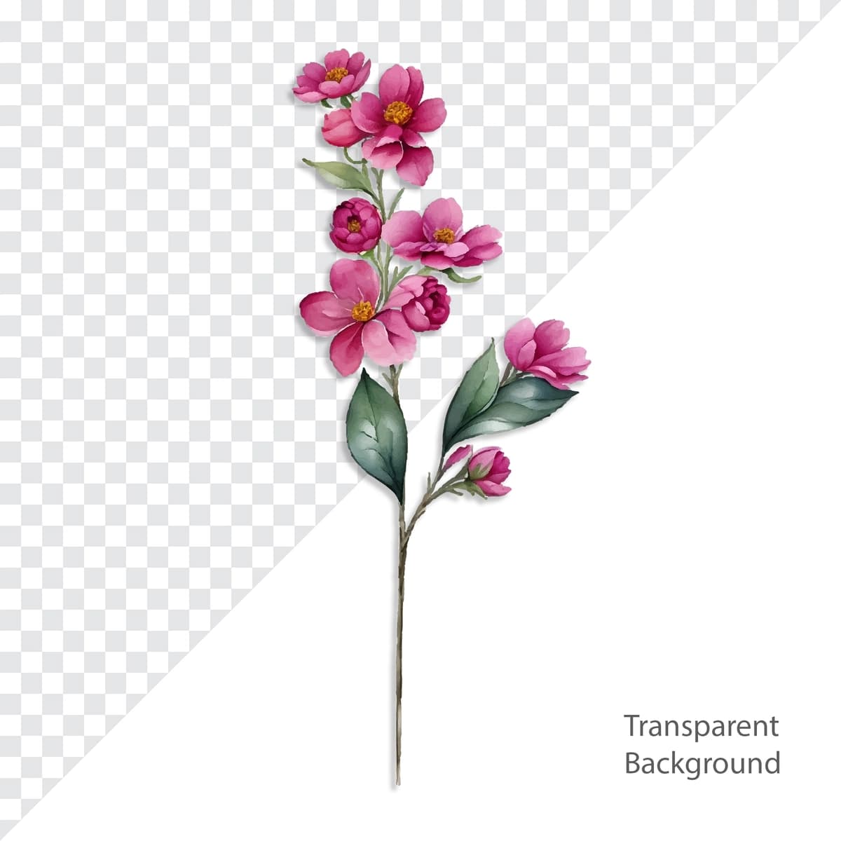 Psd gul rasmlari shaffof fon | Psd flower illustration transparent background