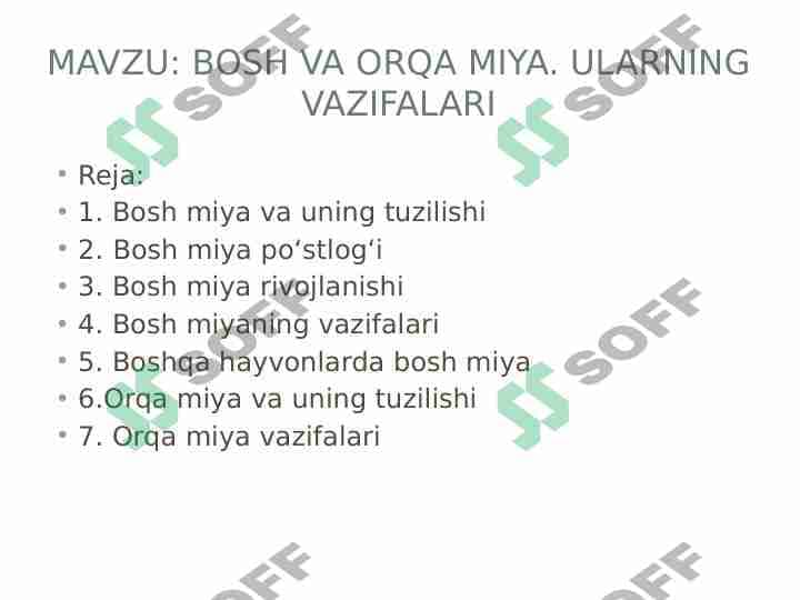 Bosh miya va orqa miya. Ularning vazifalari