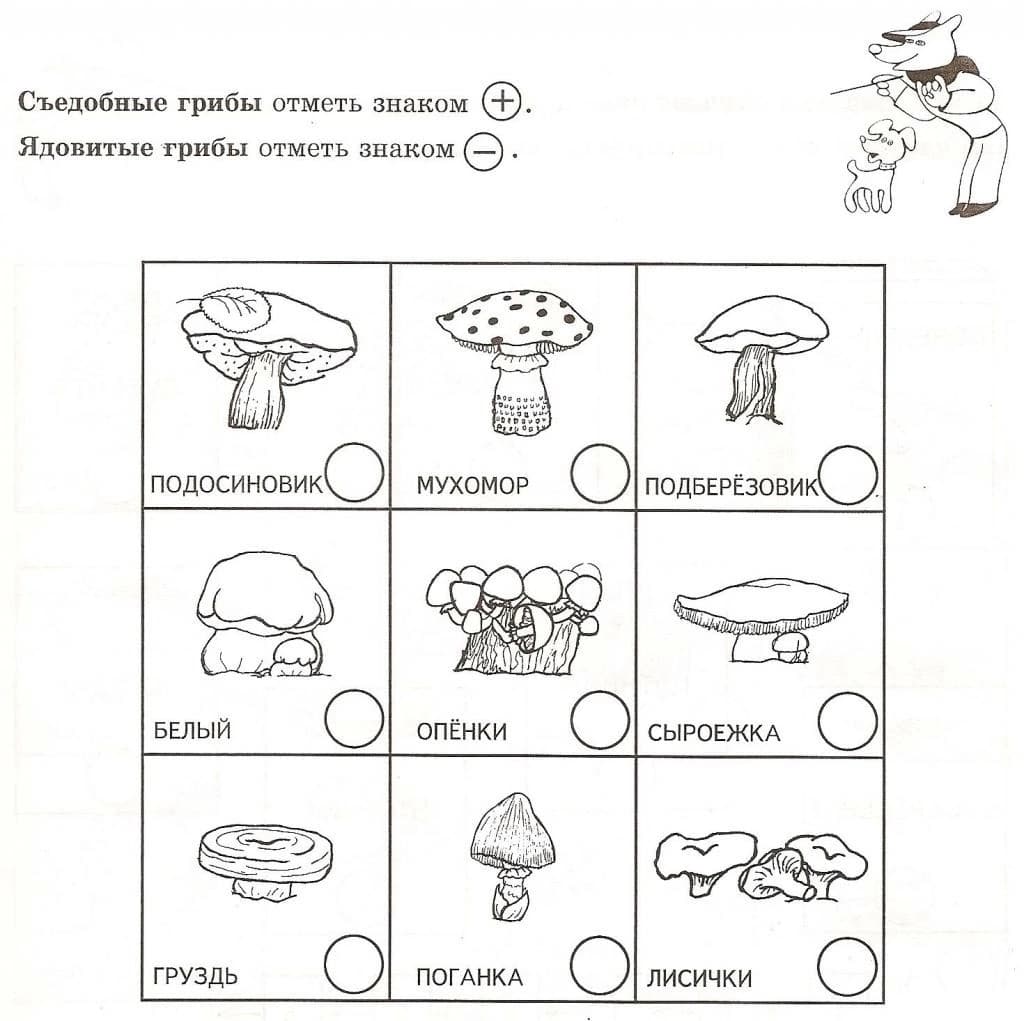 1- 4 sinflarga rangsiz belgilar