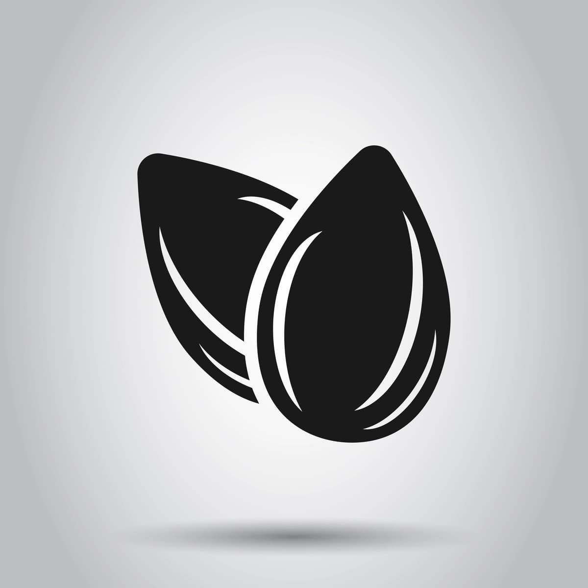 Bodom belgisi yassi uslubdagi loviya vektor tasviri izolyatsiyalangan fon | Almond icon flat style bean vector illustration isolated background