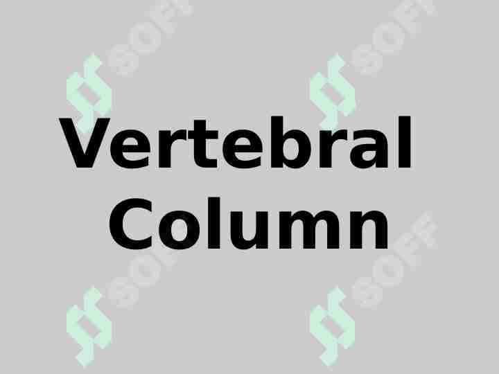 Vertebral  Column