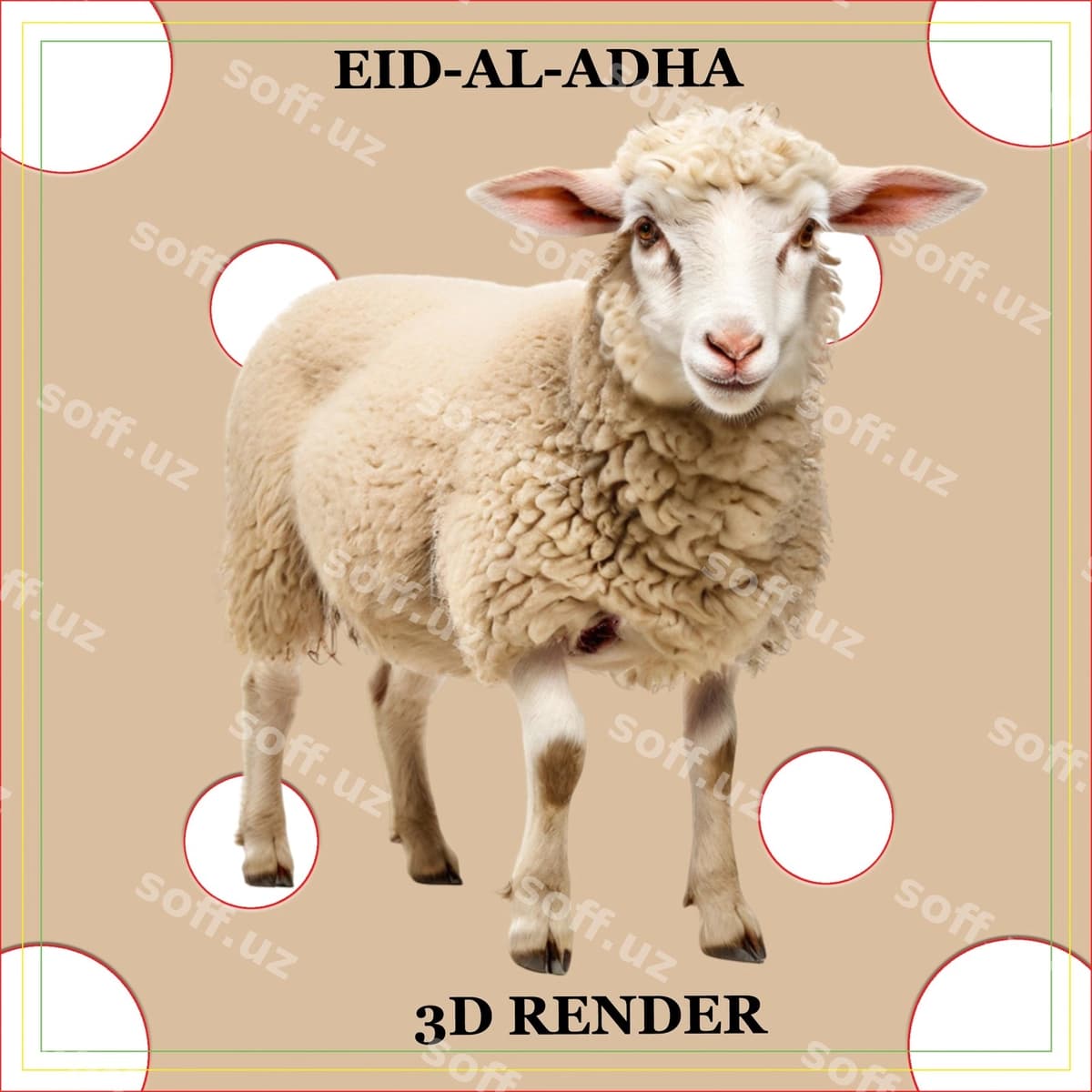 Yurayotgan bej rangli qo'y | Beige sheep walking
