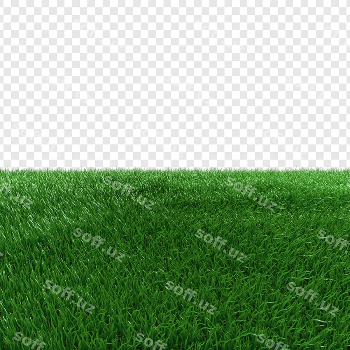 Yaqin qarashda parlak yashil chaman | Close up vibrant green grass