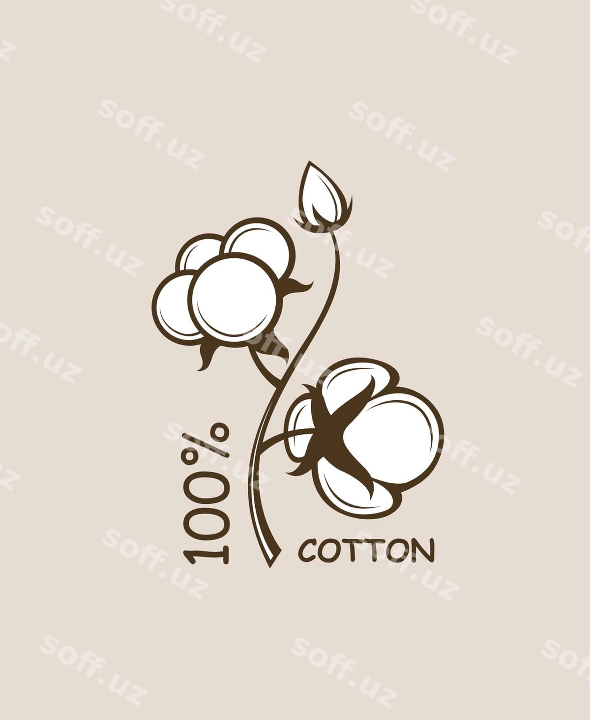 Paxlək o'simliosining dara | Cotton plant branch