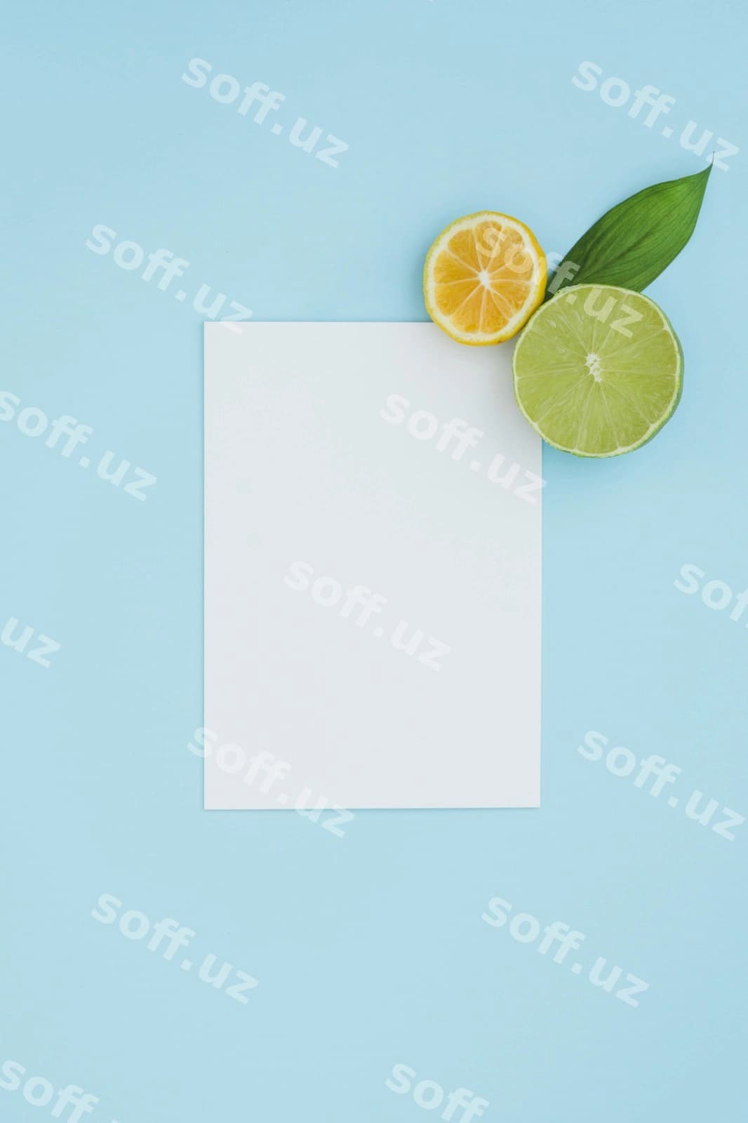 Mazali meva konseptsiya namunasi | Delicious fruit concept mock up