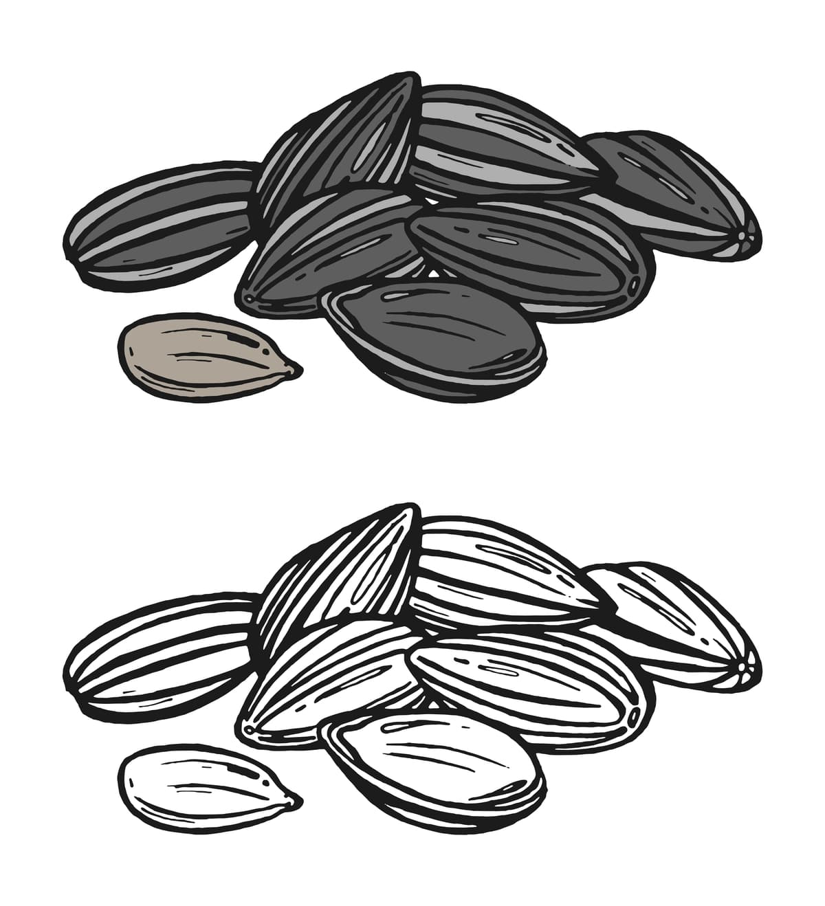 Grafik kungaboqar urug'lari qo'lda chizilgan kungaboqar urug'lari rang konturini o'rnating | Set graphic sunflower seeds hand drawn sunflower seeds color outline