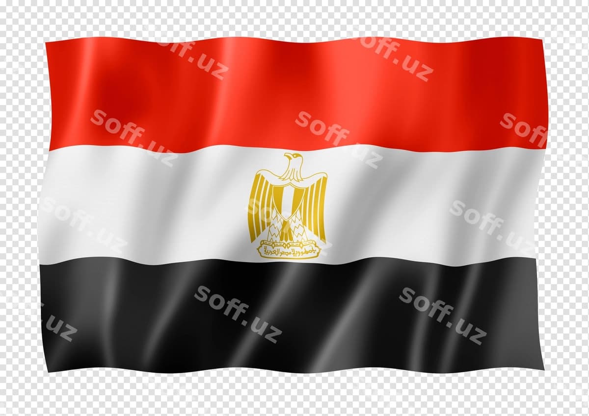 Misr bayrog'i ajraltirilgan oq | Egyptian flag isolated white