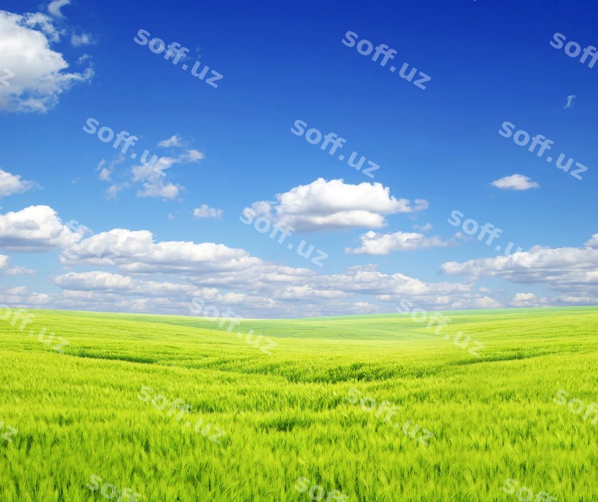 Maydon foni ko'k osmon | Field background blue sky