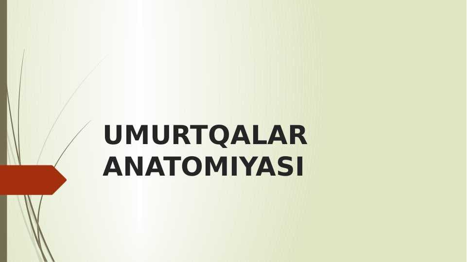 UMURTQALAR ANATOMIYASI