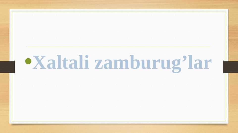 Xaltali zamburug'lar
