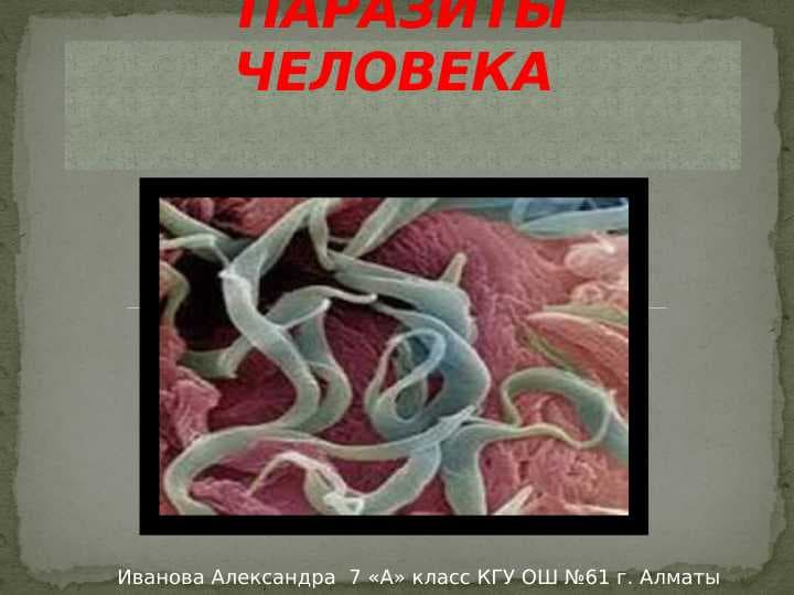 Слайд на тему Паразиты