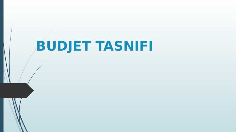 BUDJET TASNIFI