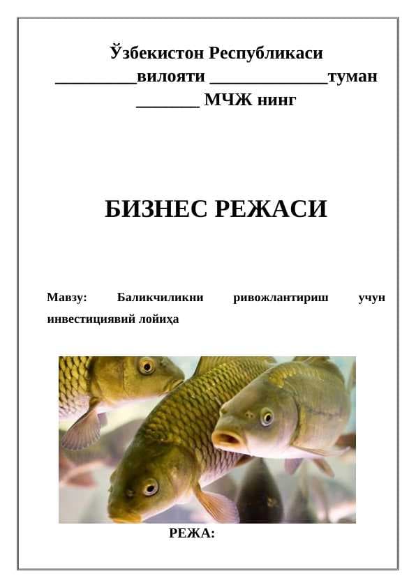 Баликчиликни ривожлантириш учун инвестициявий лойиҳа