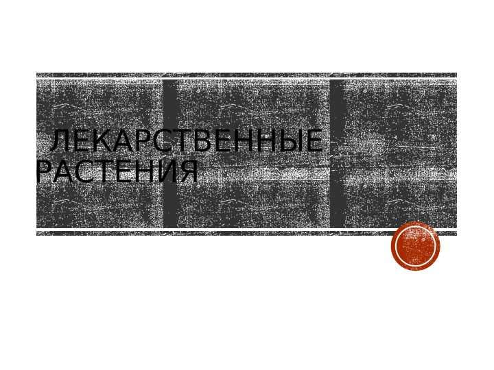 Лекарственные растения