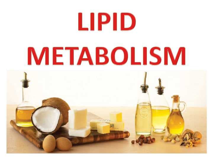 LIPID METABOLISM