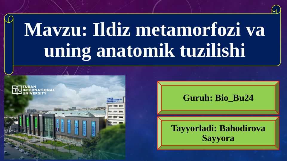 Ildiz metamorfozi va uning anatomik tuzilishi