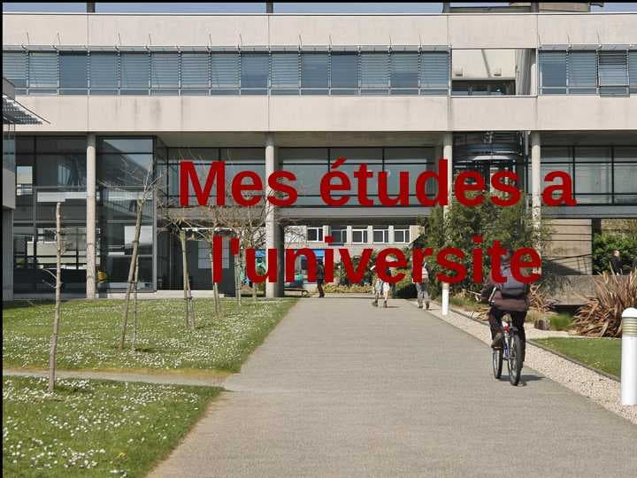 Mes études a l'universite