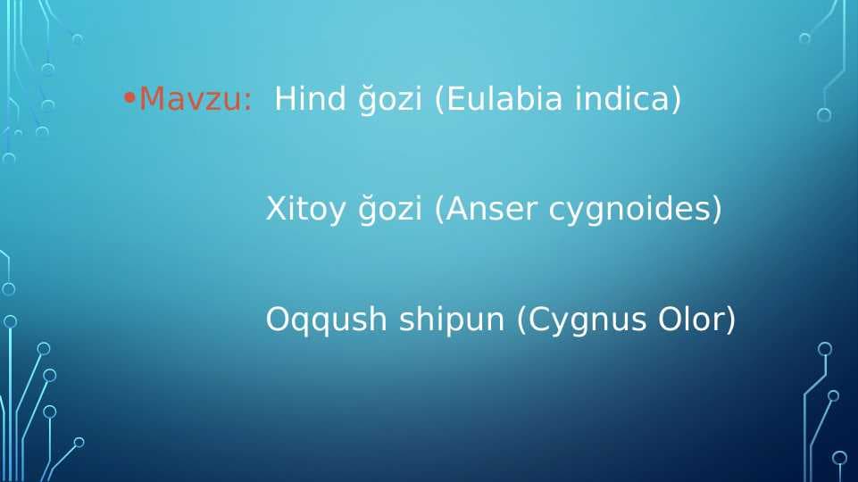 g`ozlar va ularning turlari pptx