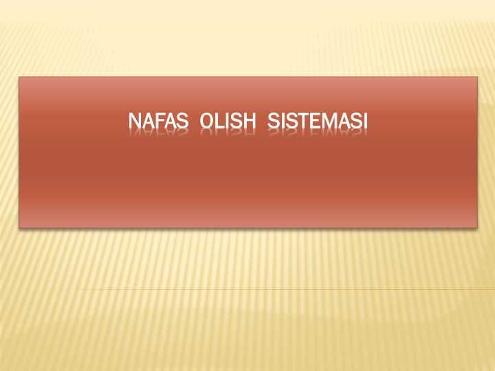 Nafas  olish  sistemasi