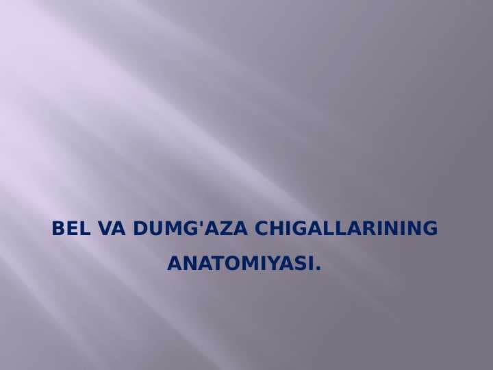 Bel va dumg'aza chigallarining anatomiyasi