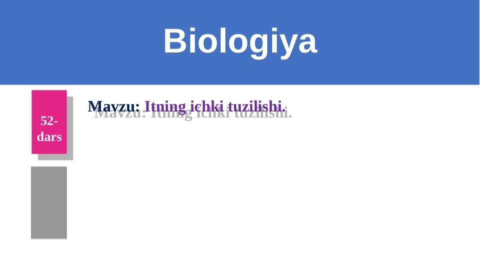 Itning ichki tuzilishi.