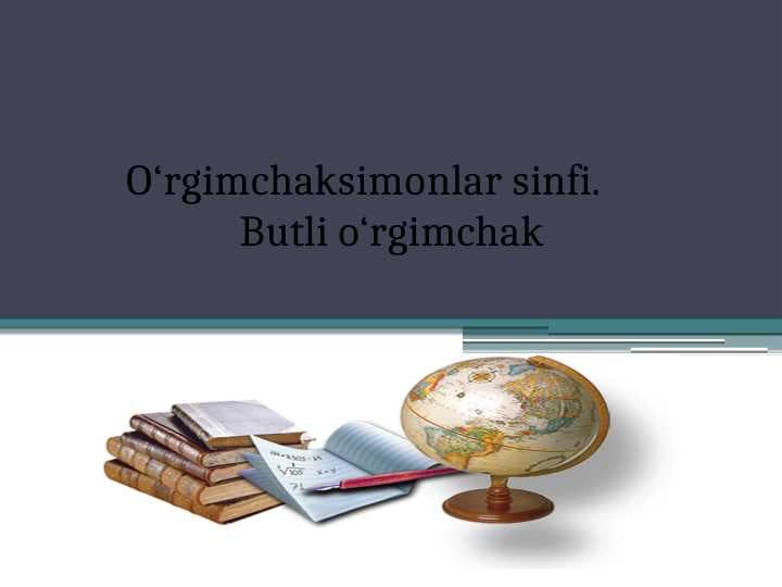 O‘rgimchaksimonlar sinfi.   Butli o‘rgimchak