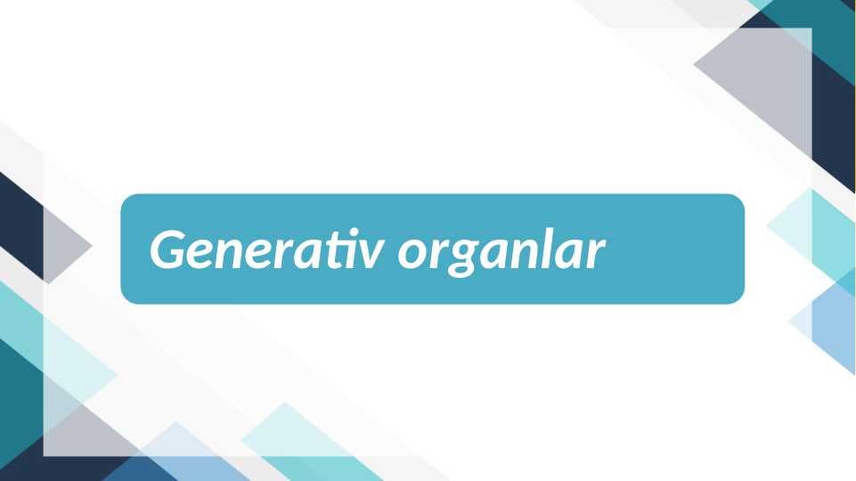 Generativ organlar