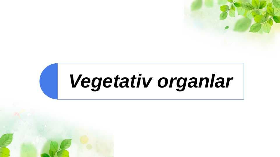 Vegetativ organlar