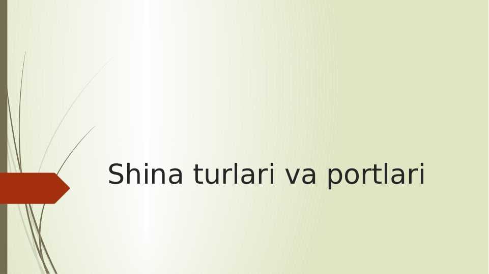 Shina turlari va portlari