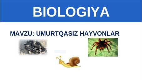 UMURTQASIZ HAYVONLAR