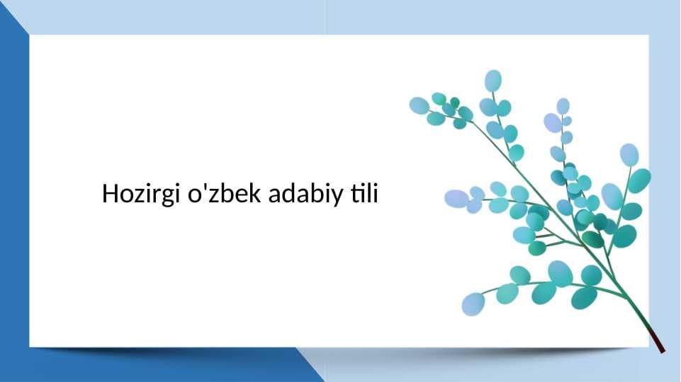 Hozirgi o'zbek adabiy tili