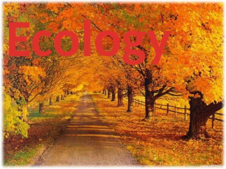 Ecology