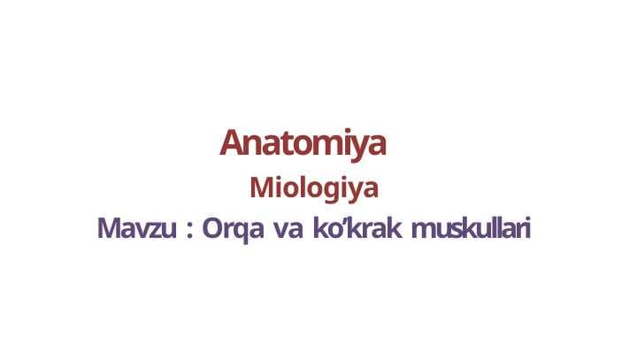 Orqa va ko’krak muskullari