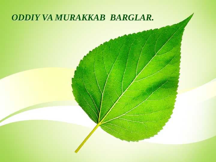 Oddiy va murakkab barglar.