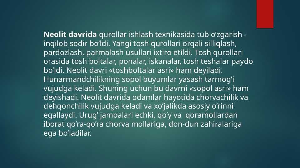 Neolit davri