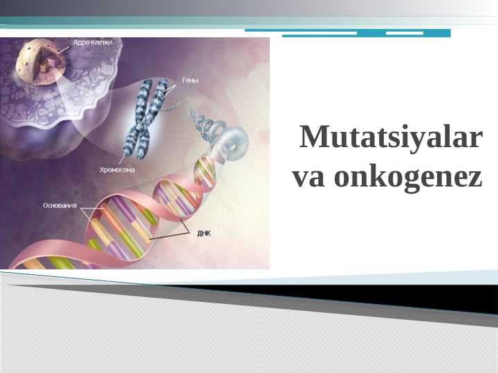 Mutatsiyalar va onkogenez