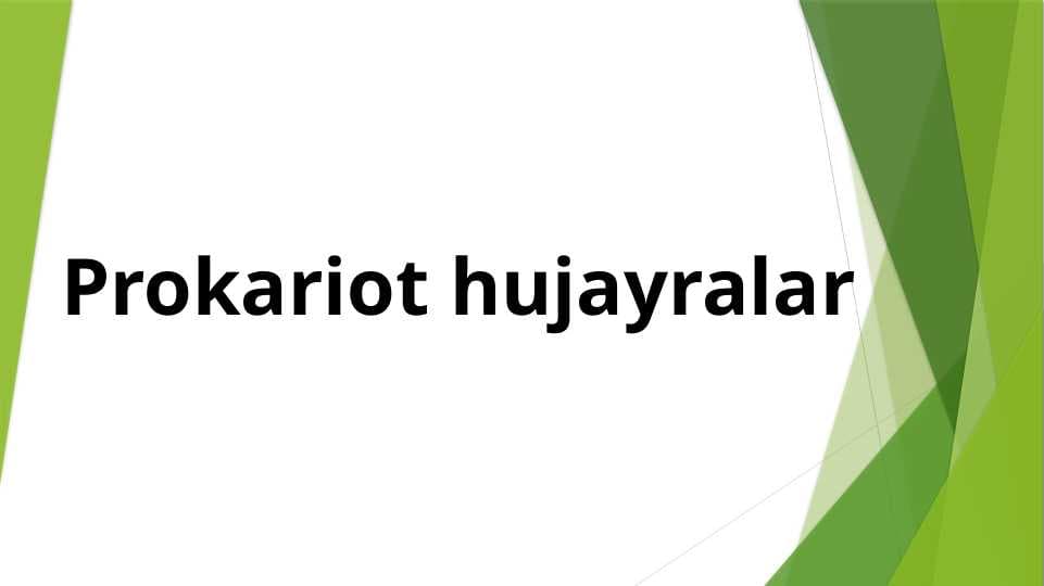 Prokariot hujayralar