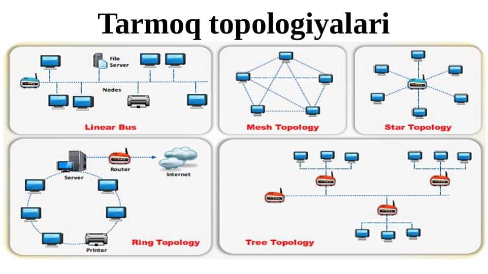 Tarmoq topologiyalari