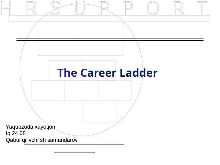 The Career Ladder