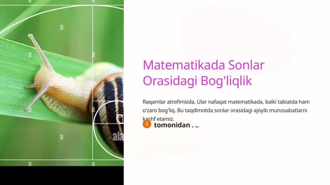 Matematikada Sonlar Orasidagi Bog'liqlik