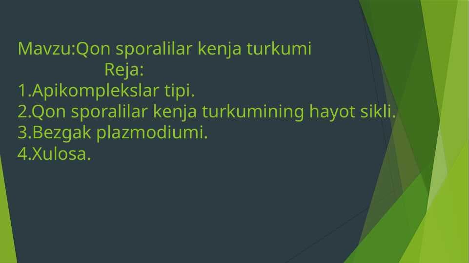 Qon sporalilar kenja turkumi