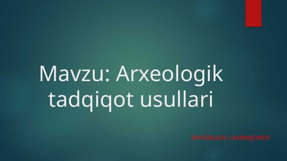 Arxeologik dala tadqiqotlari