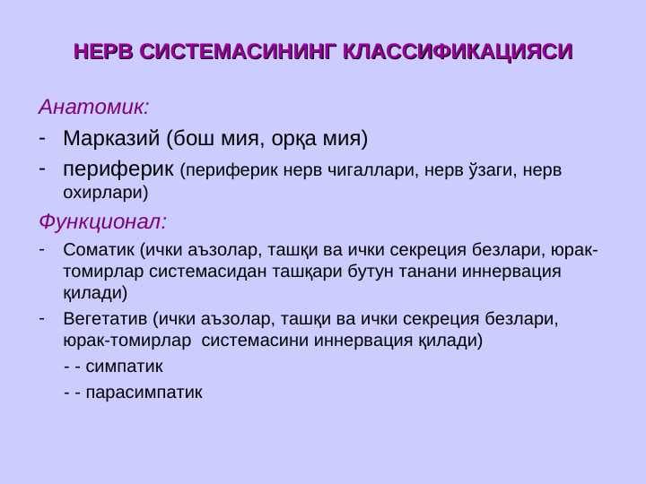 НЕРВ СИСТЕМАСИНИНГ КЛАССИФИКАЦИЯСИ