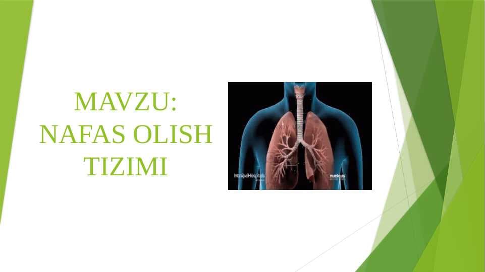 NAFAS OLISH TIZIMI
